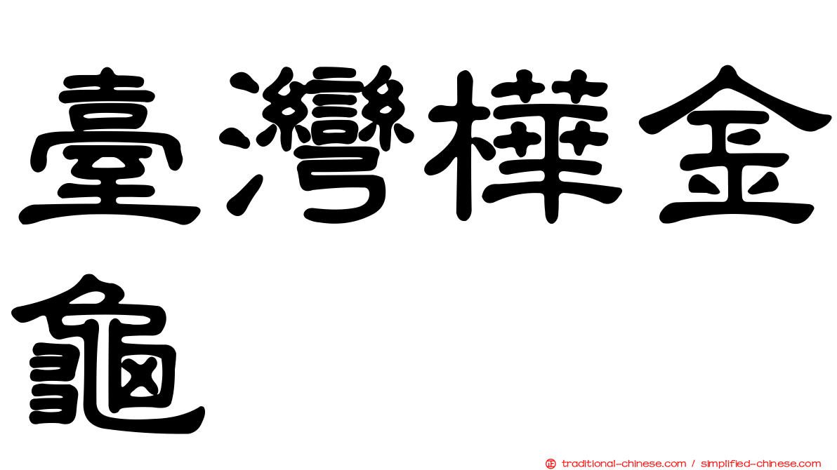 臺灣樺金龜