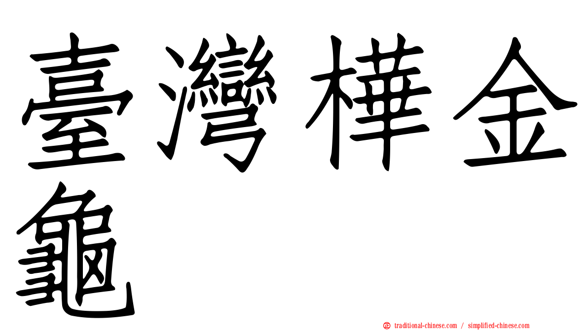 臺灣樺金龜