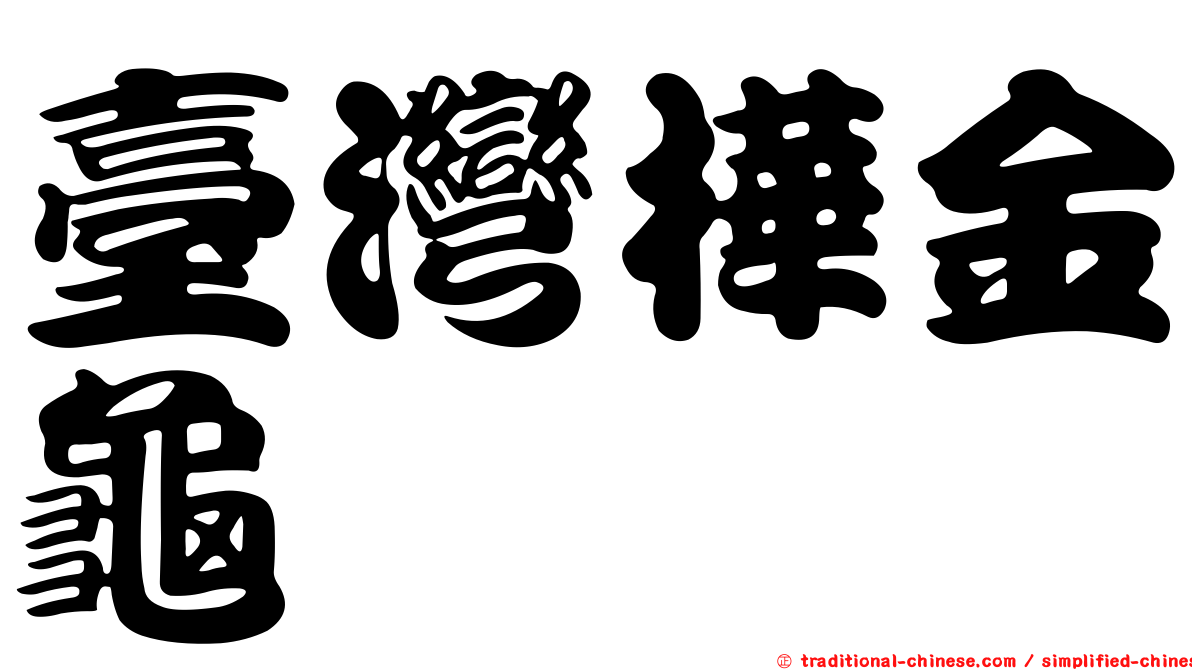 臺灣樺金龜