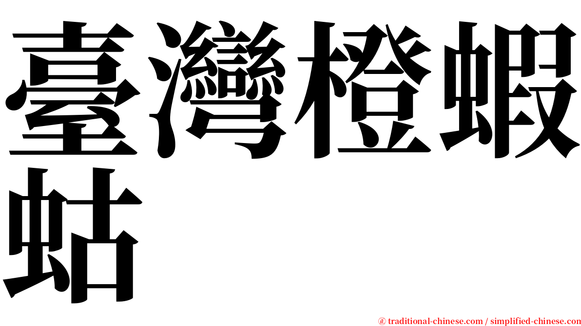 臺灣橙蝦蛄 serif font