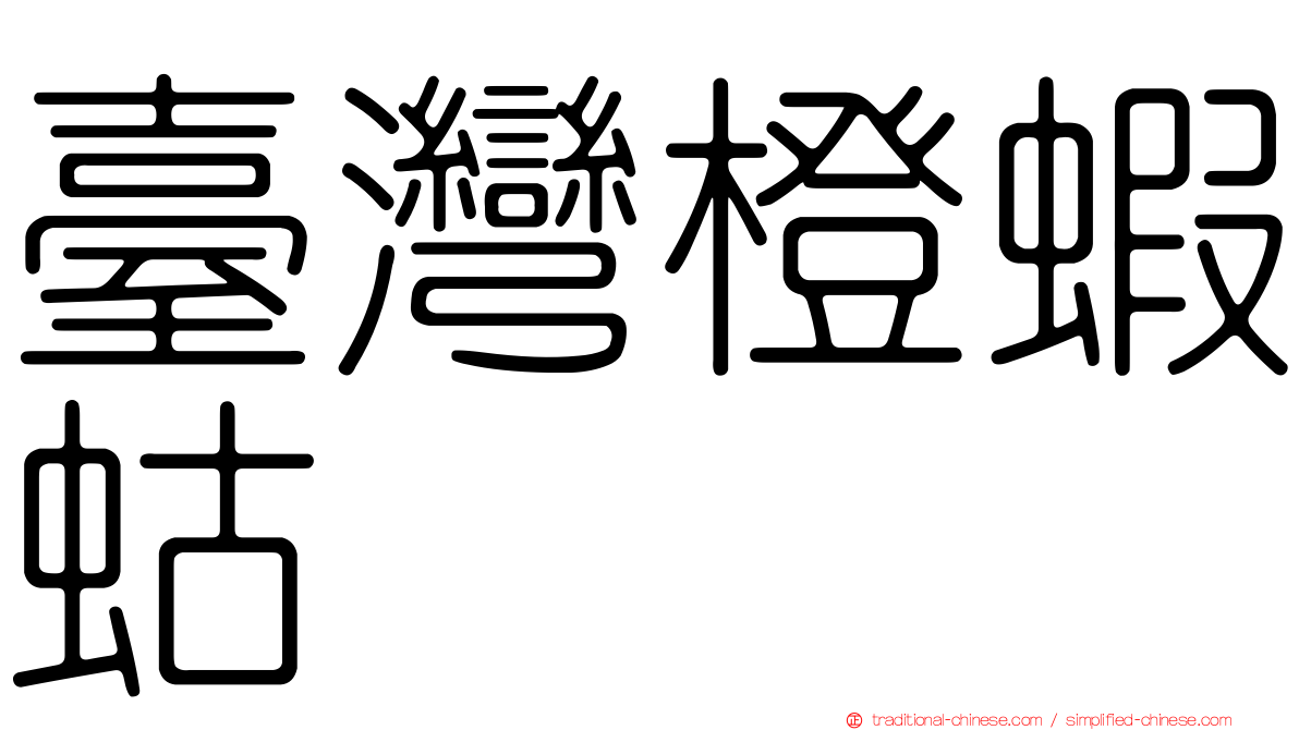 臺灣橙蝦蛄