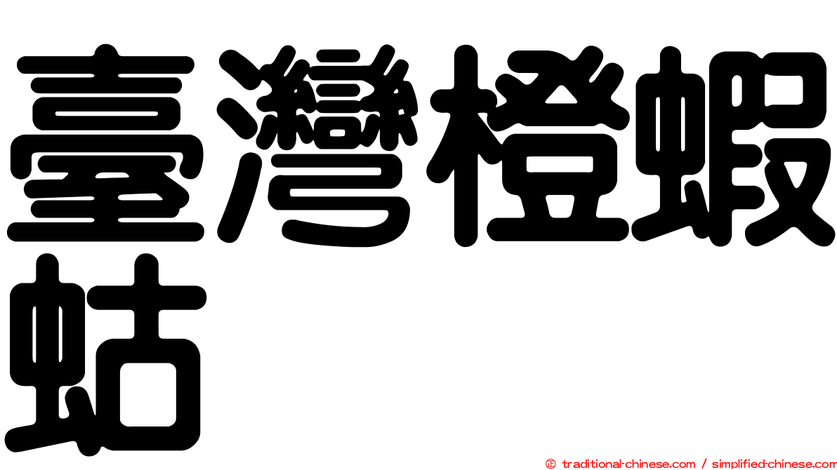 臺灣橙蝦蛄