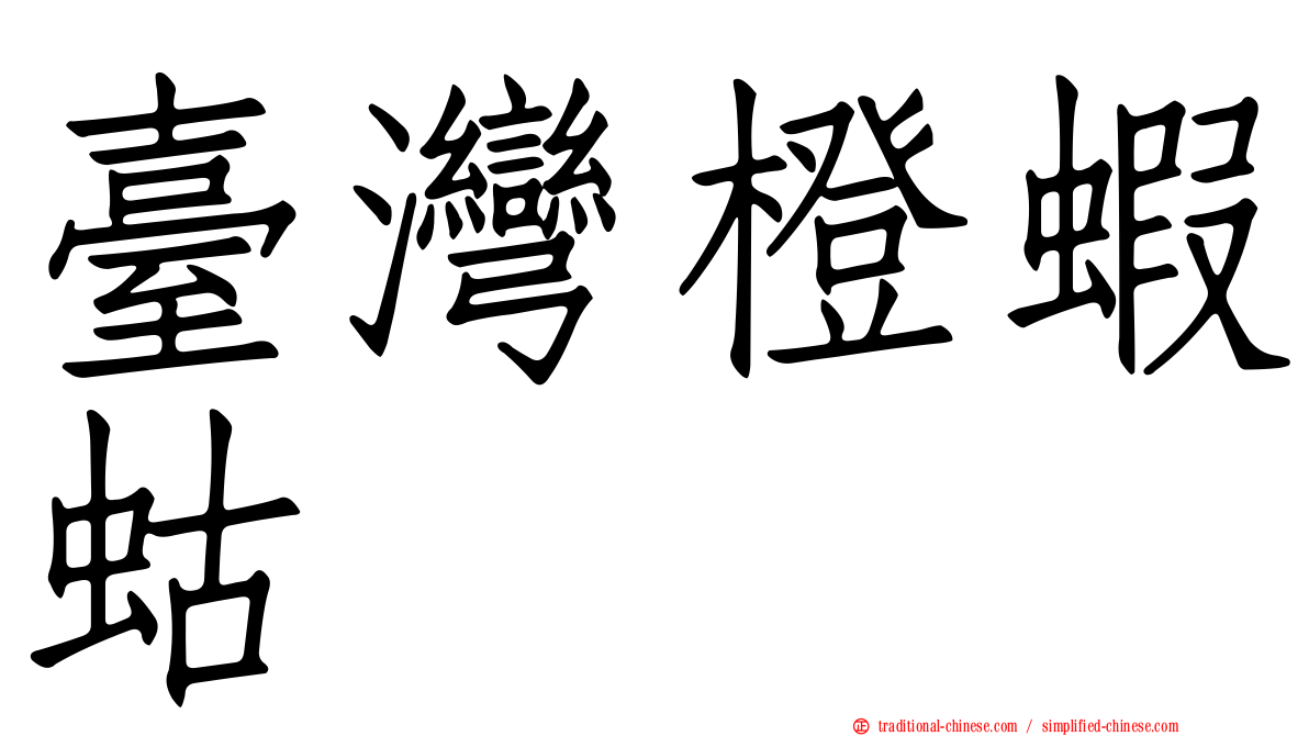 臺灣橙蝦蛄