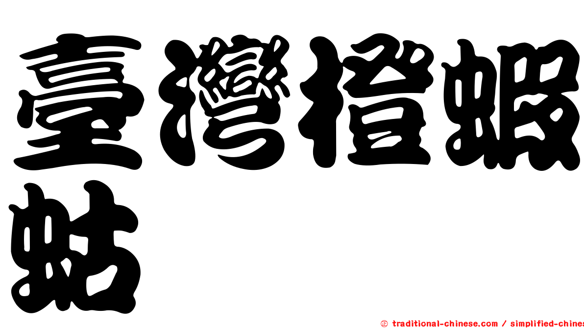 臺灣橙蝦蛄