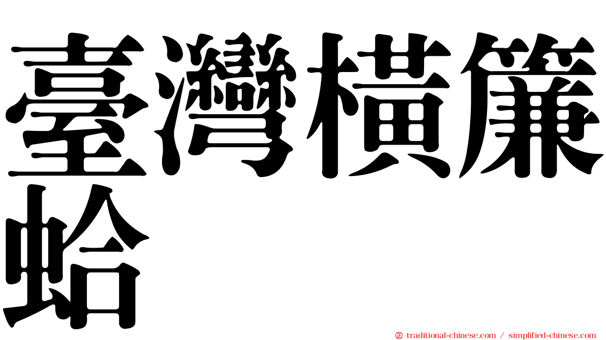 臺灣橫簾蛤