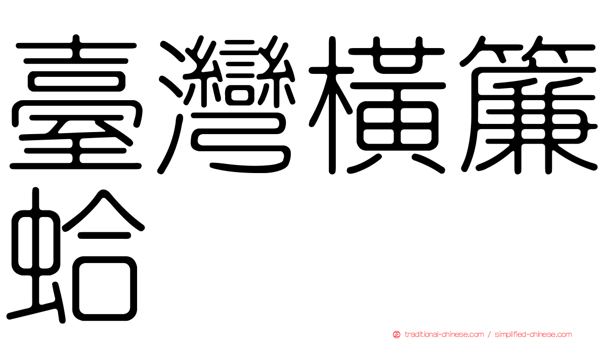 臺灣橫簾蛤