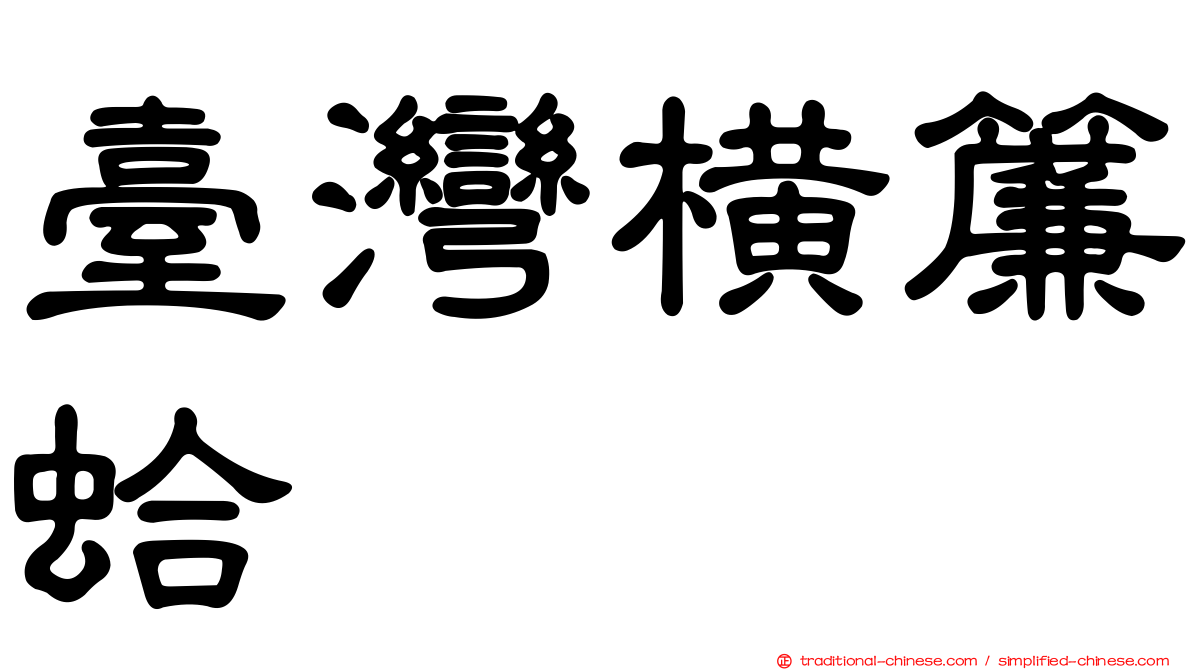 臺灣橫簾蛤