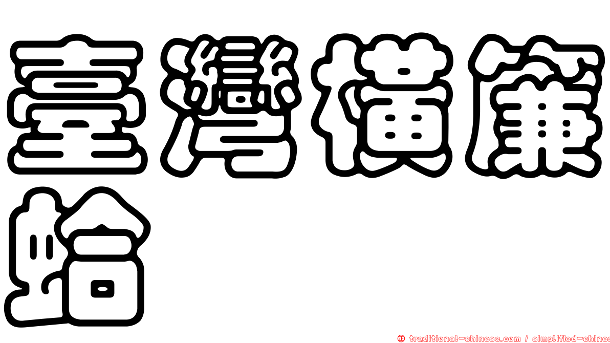 臺灣橫簾蛤