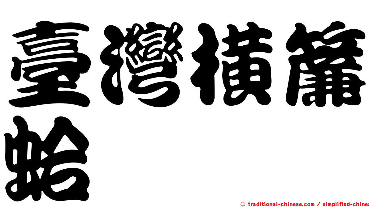 臺灣橫簾蛤