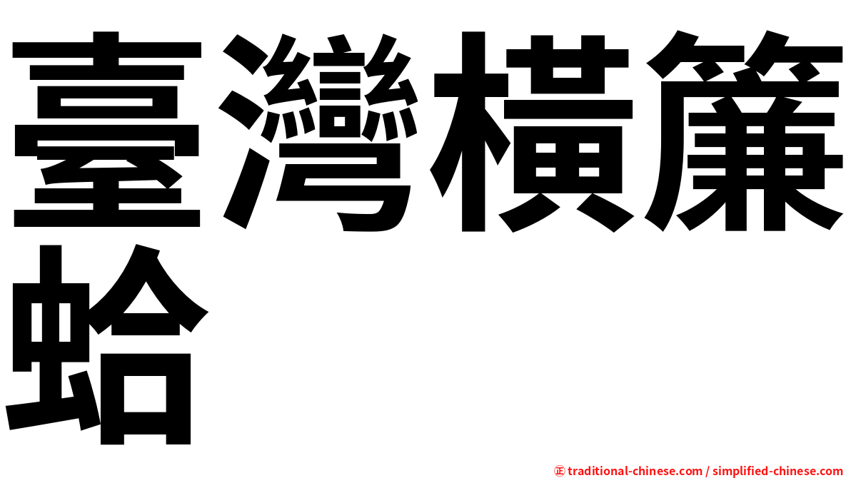 臺灣橫簾蛤