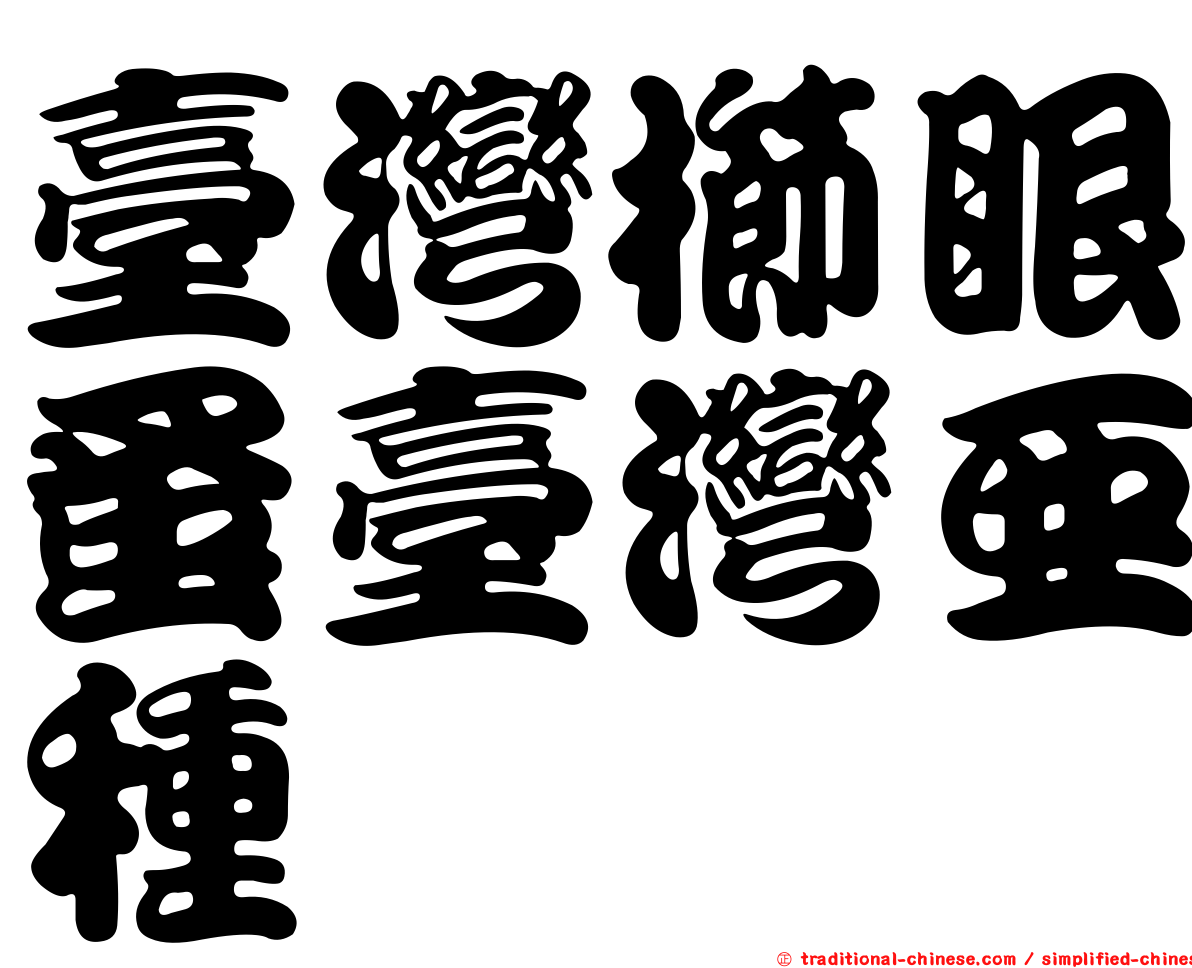 臺灣櫛眼蚤臺灣亞種