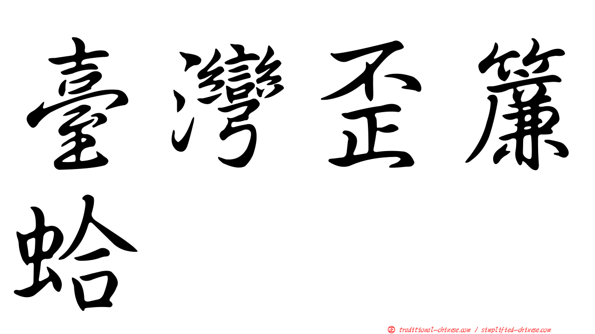 臺灣歪簾蛤