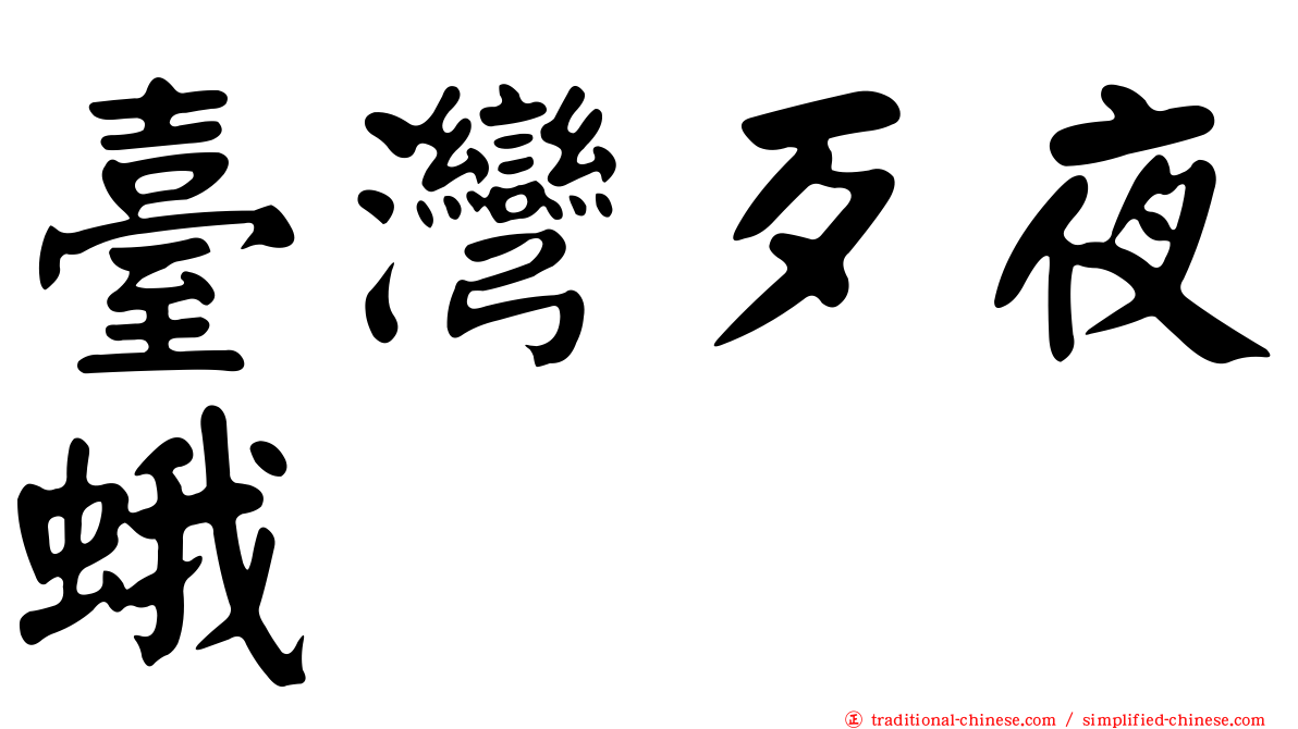 臺灣歹夜蛾
