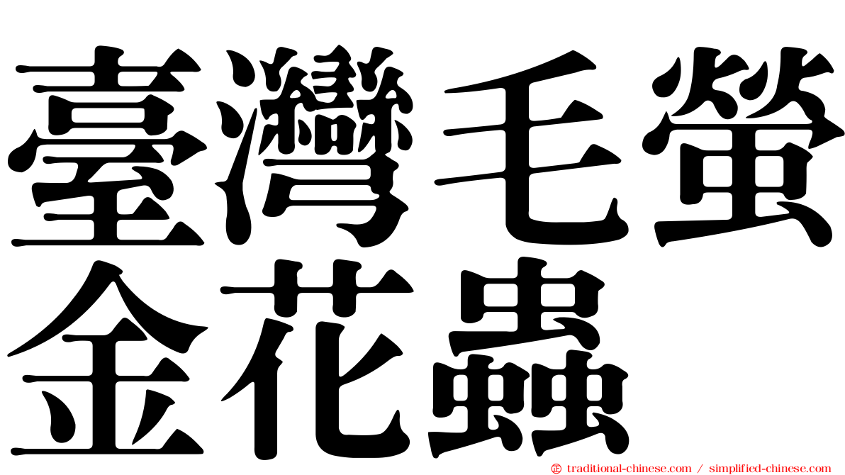 臺灣毛螢金花蟲