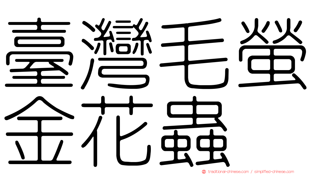 臺灣毛螢金花蟲