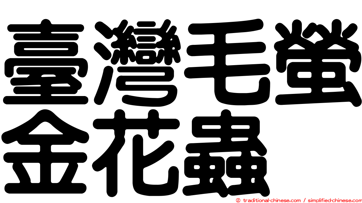臺灣毛螢金花蟲