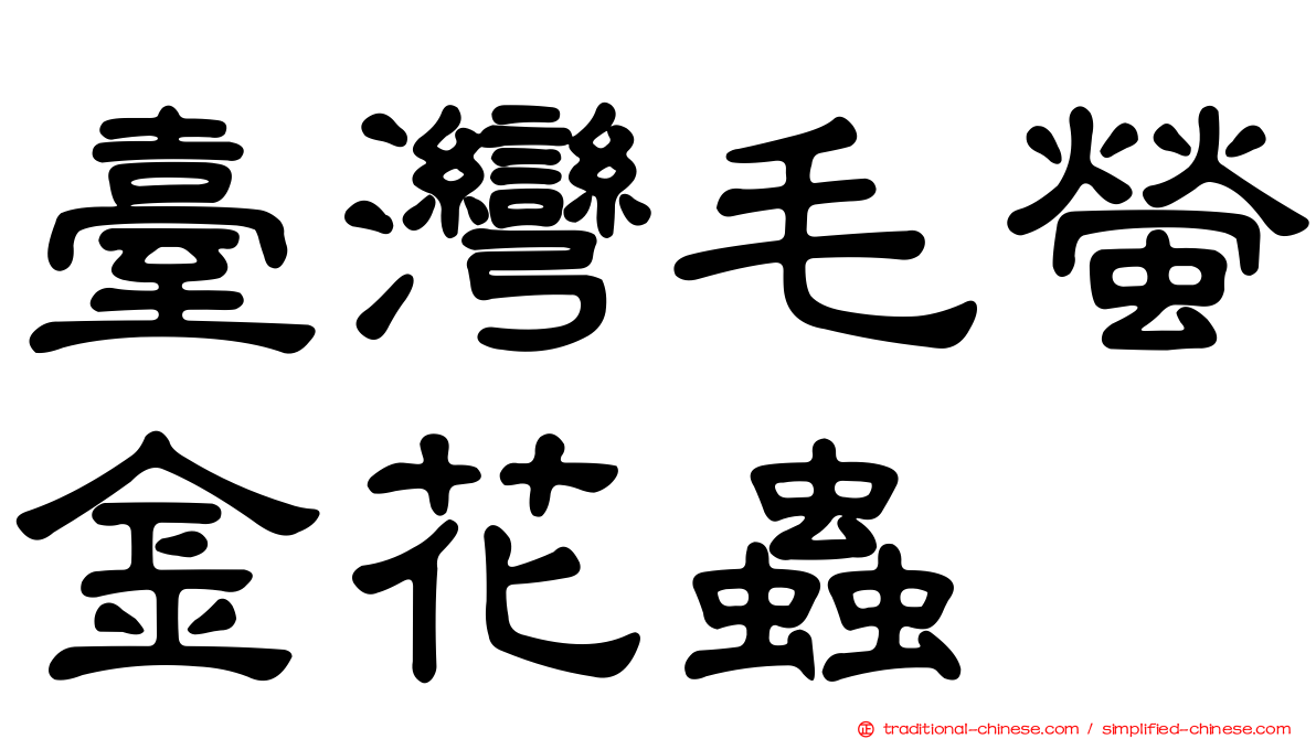 臺灣毛螢金花蟲