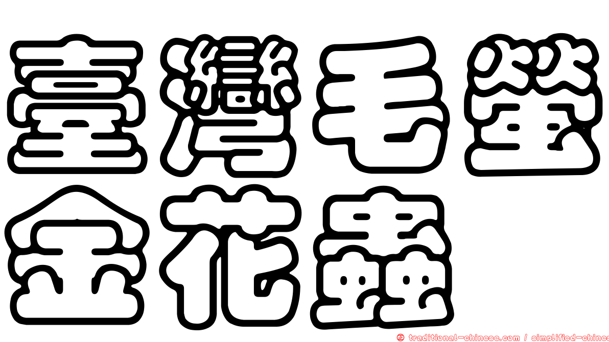 臺灣毛螢金花蟲