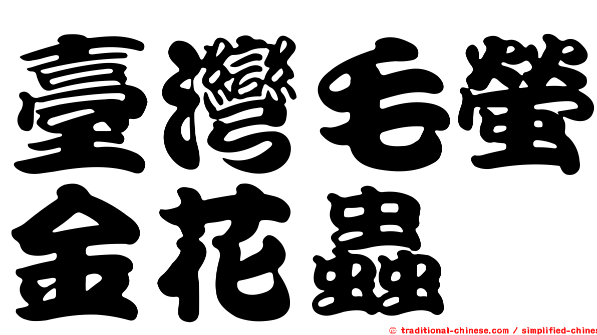 臺灣毛螢金花蟲