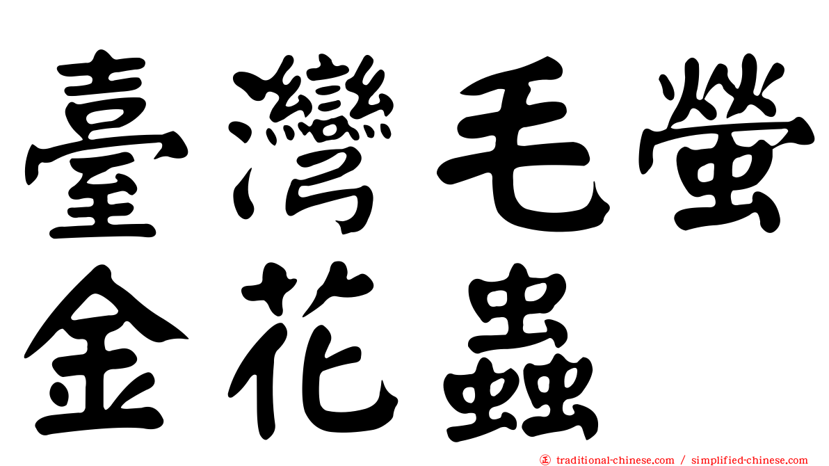 臺灣毛螢金花蟲