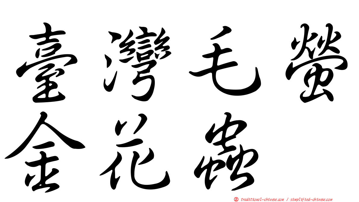臺灣毛螢金花蟲