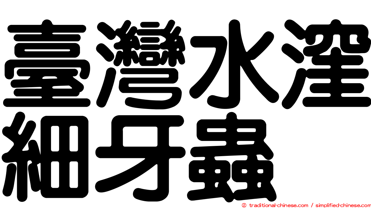 臺灣水漥細牙蟲