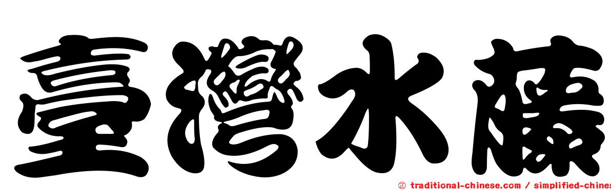 臺灣水藤