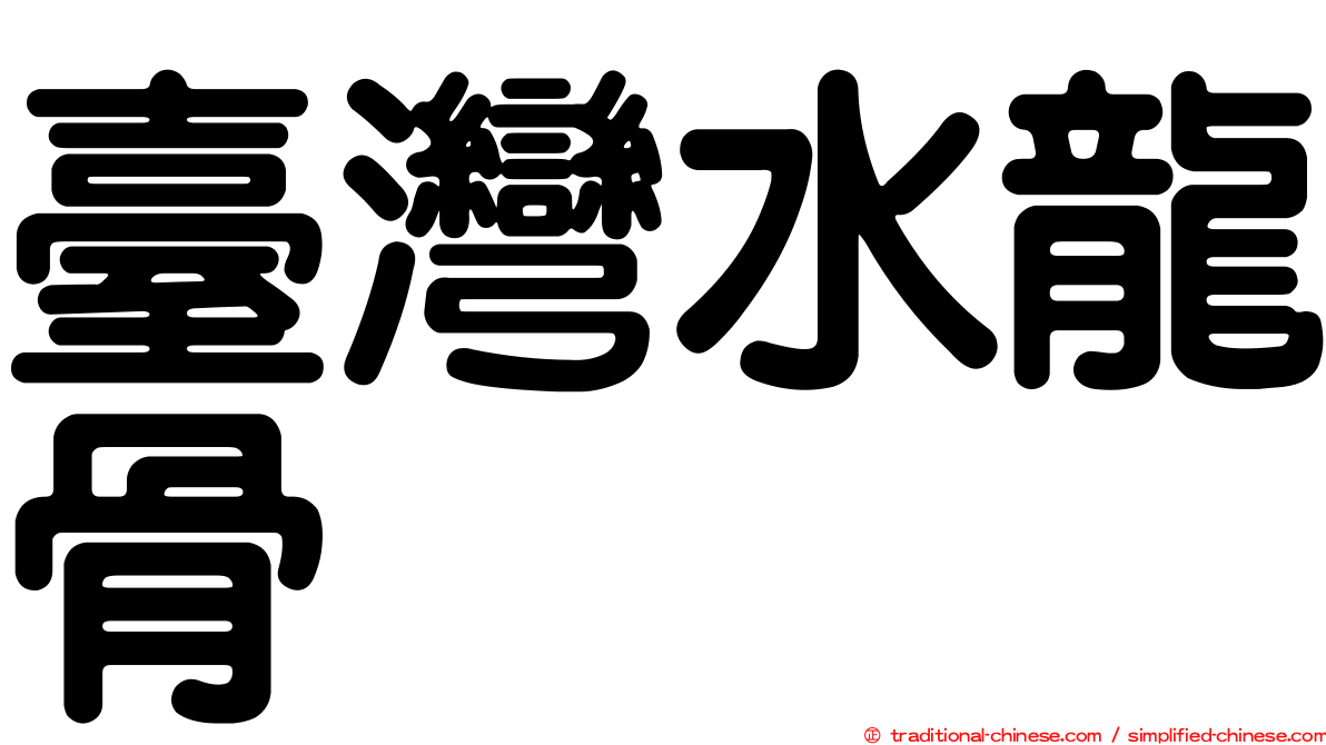 臺灣水龍骨