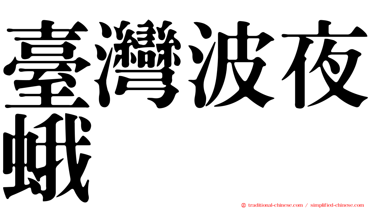 臺灣波夜蛾