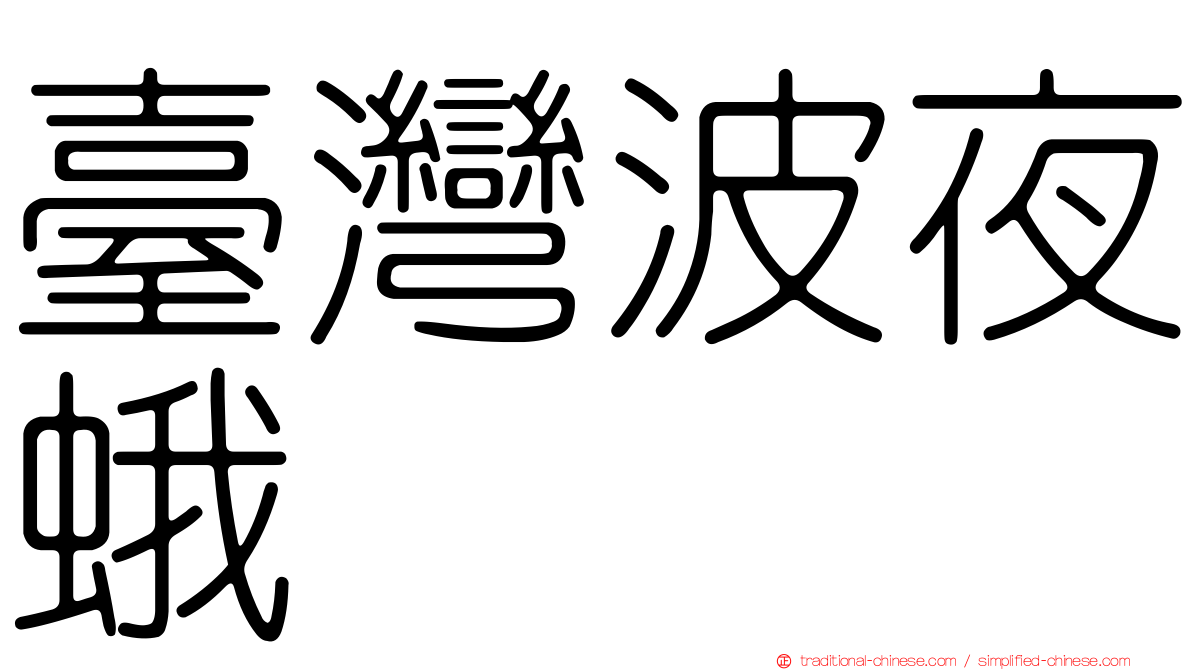 臺灣波夜蛾