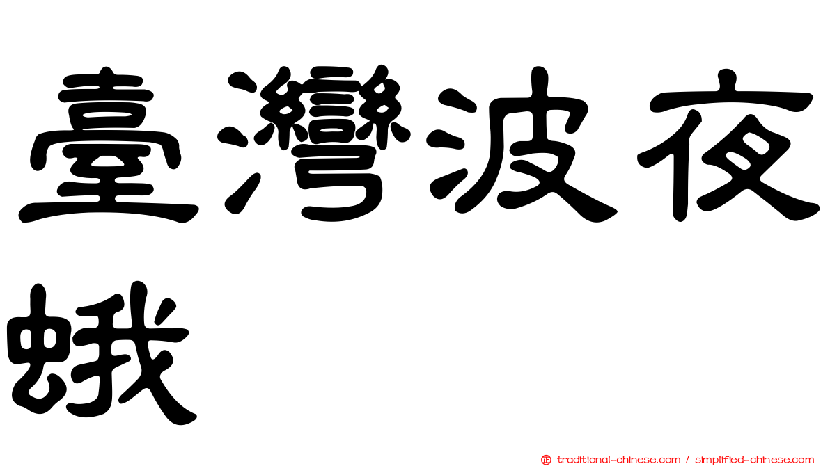 臺灣波夜蛾