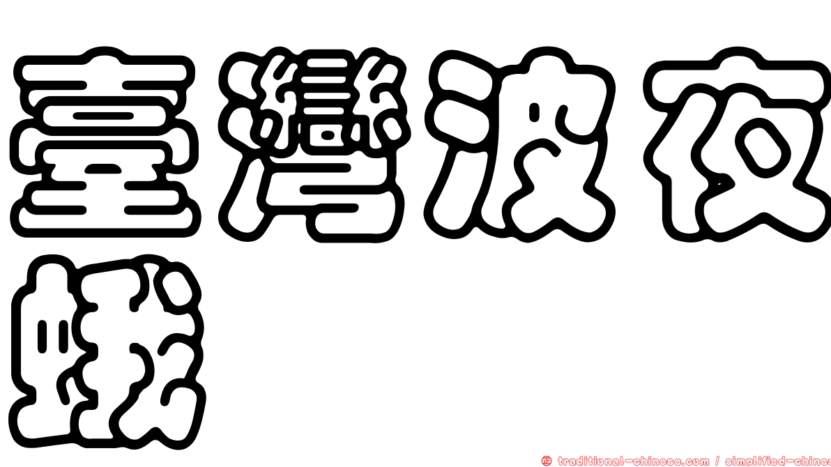 臺灣波夜蛾