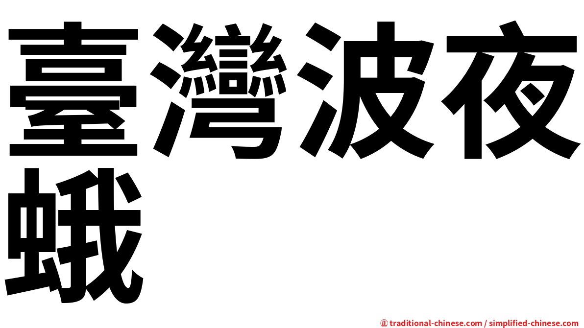 臺灣波夜蛾