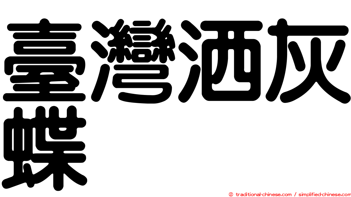 臺灣洒灰蝶