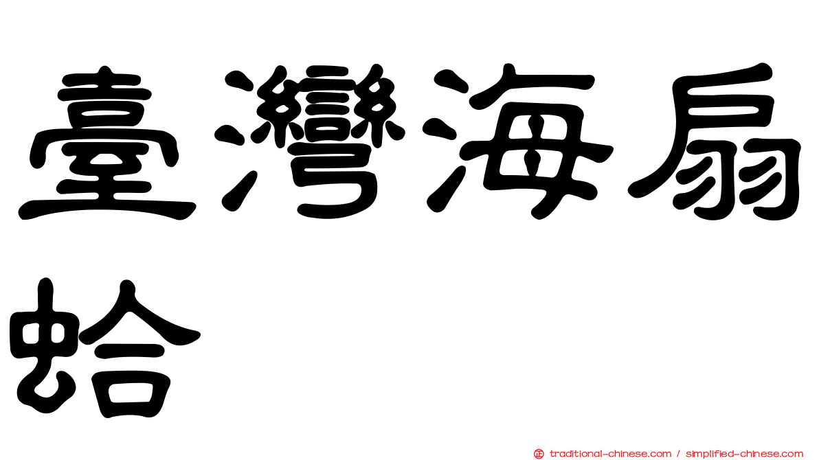 臺灣海扇蛤