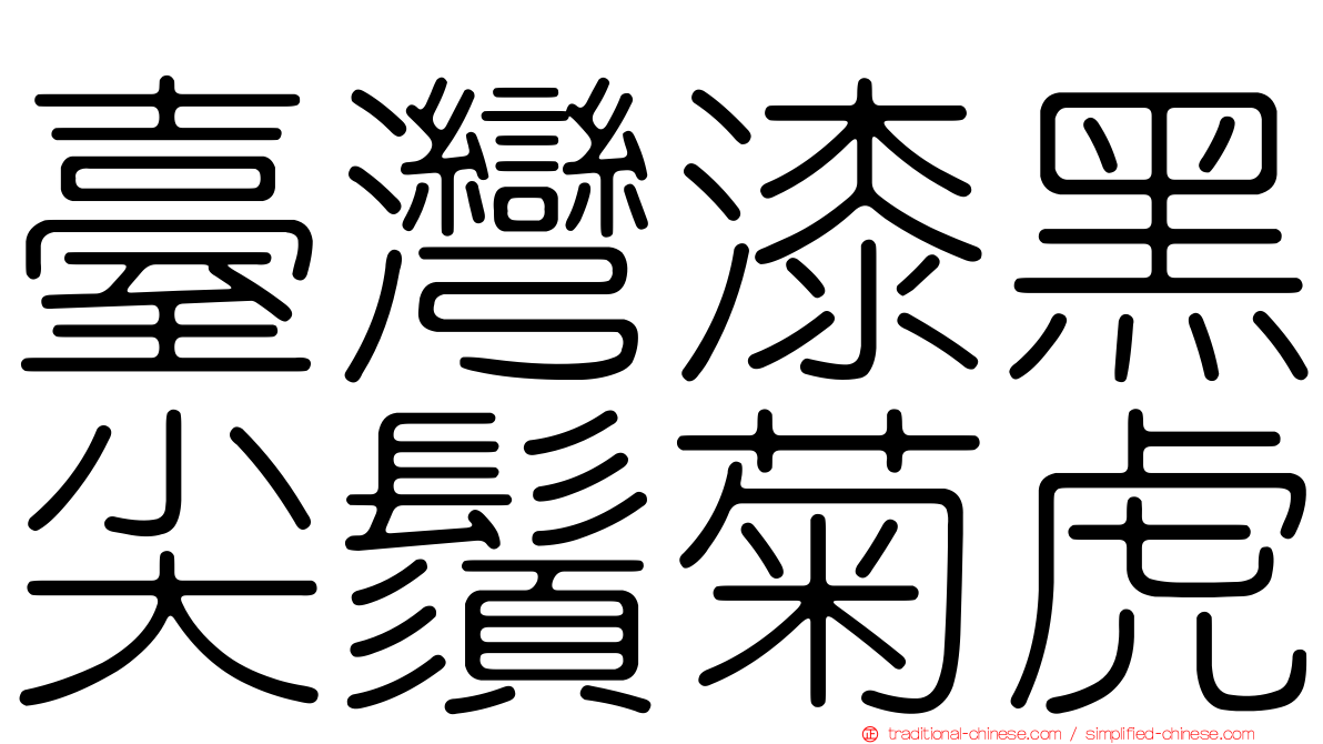 臺灣漆黑尖鬚菊虎