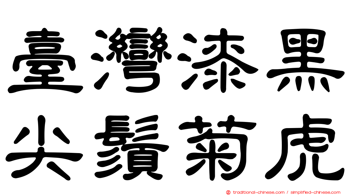 臺灣漆黑尖鬚菊虎