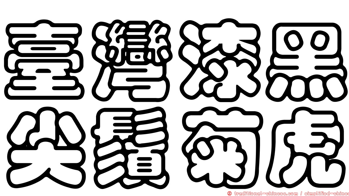 臺灣漆黑尖鬚菊虎