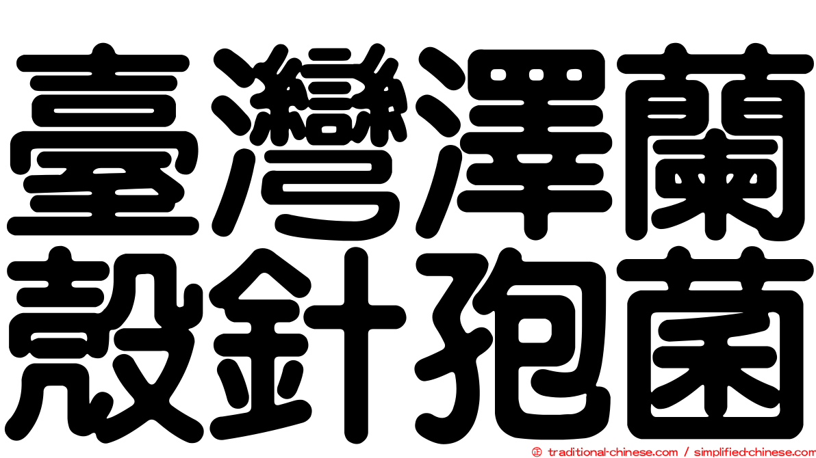 臺灣澤蘭殼針孢菌