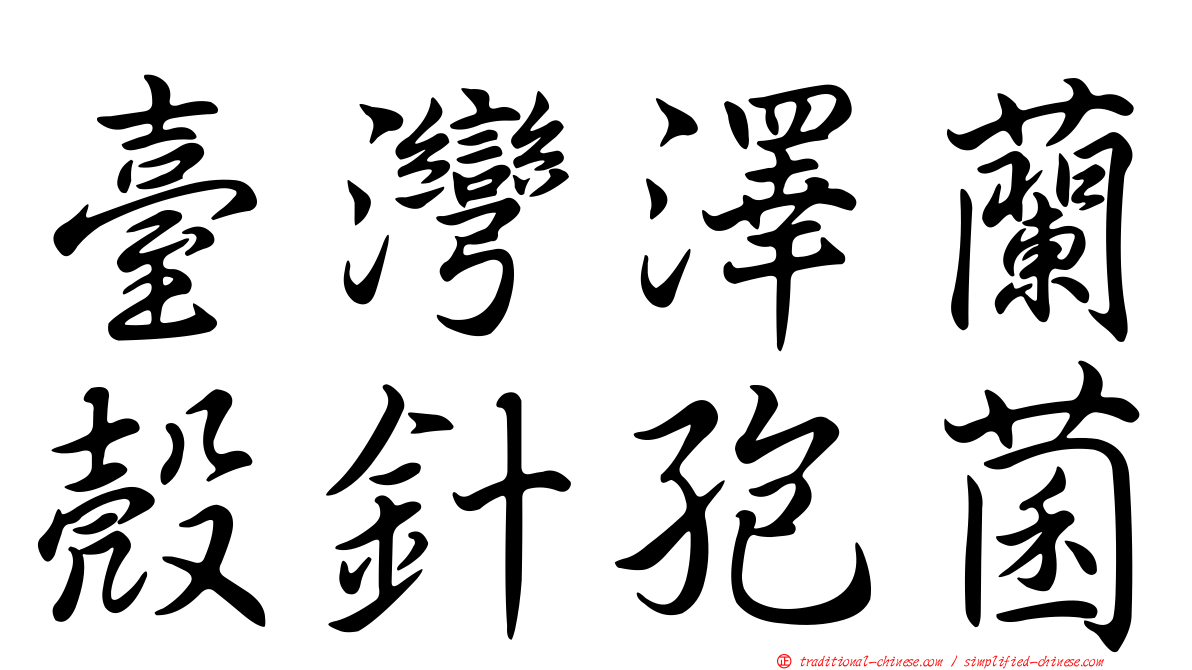 臺灣澤蘭殼針孢菌