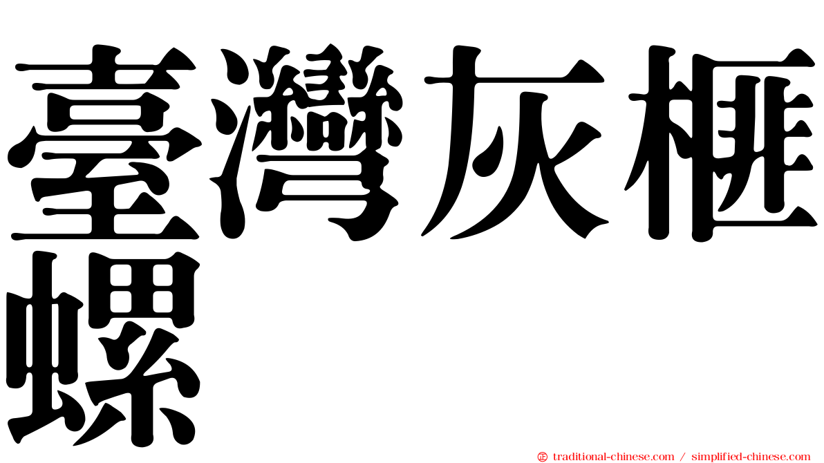 臺灣灰榧螺