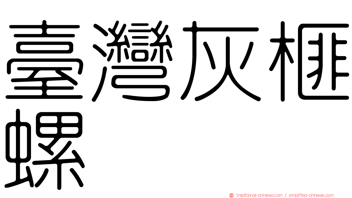 臺灣灰榧螺