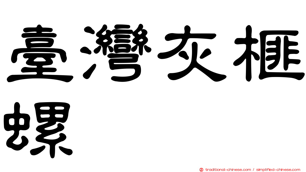 臺灣灰榧螺