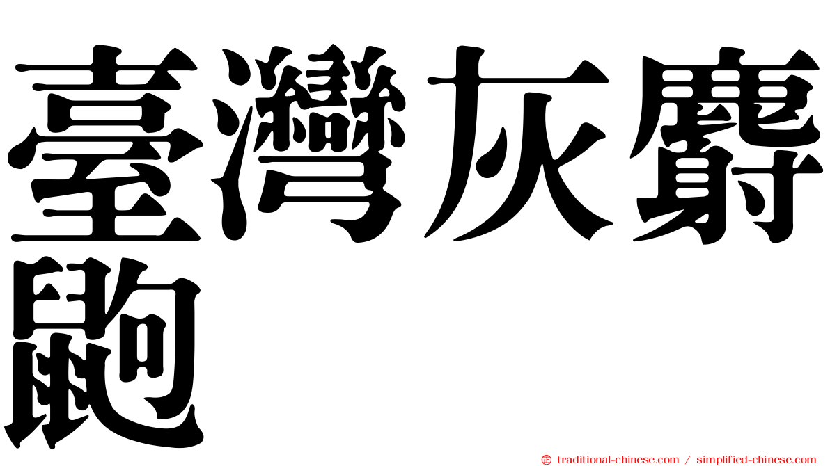 臺灣灰麝鼩