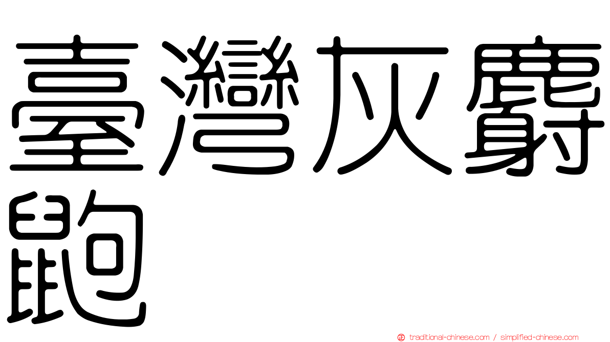 臺灣灰麝鼩