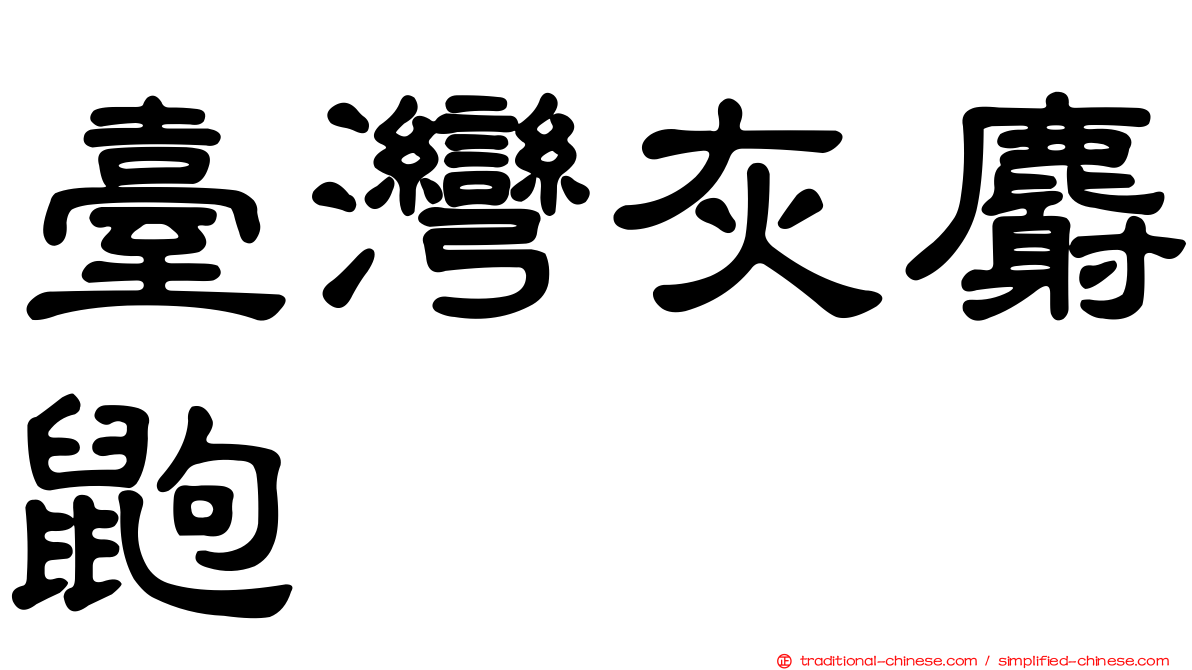 臺灣灰麝鼩