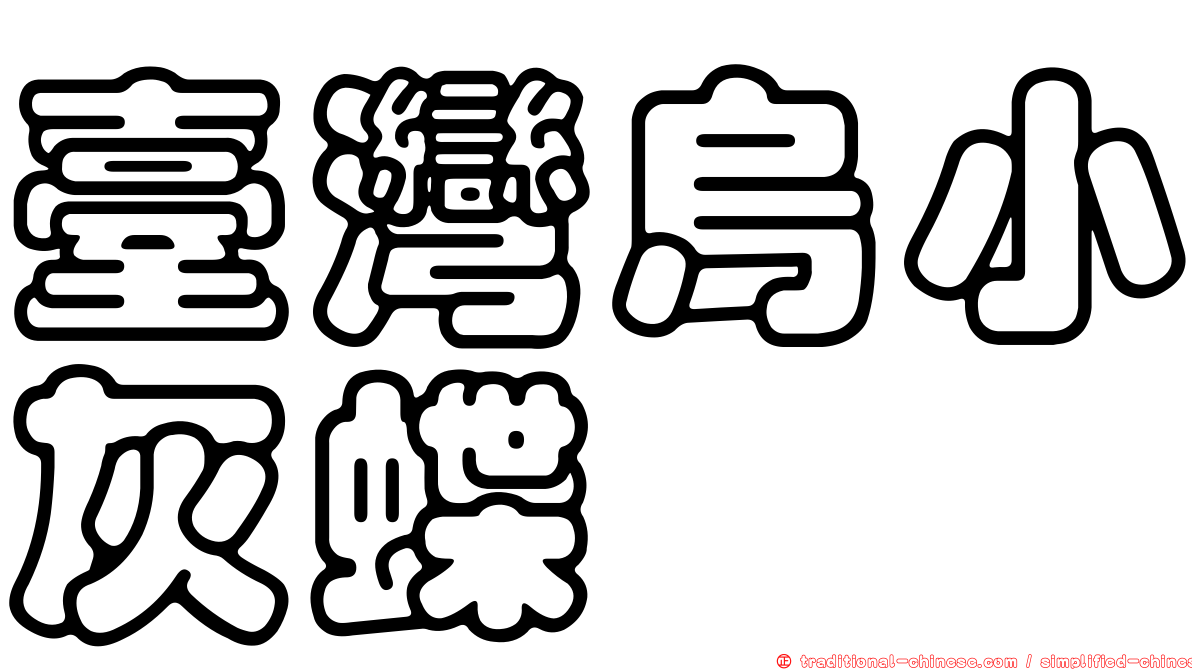 臺灣烏小灰蝶