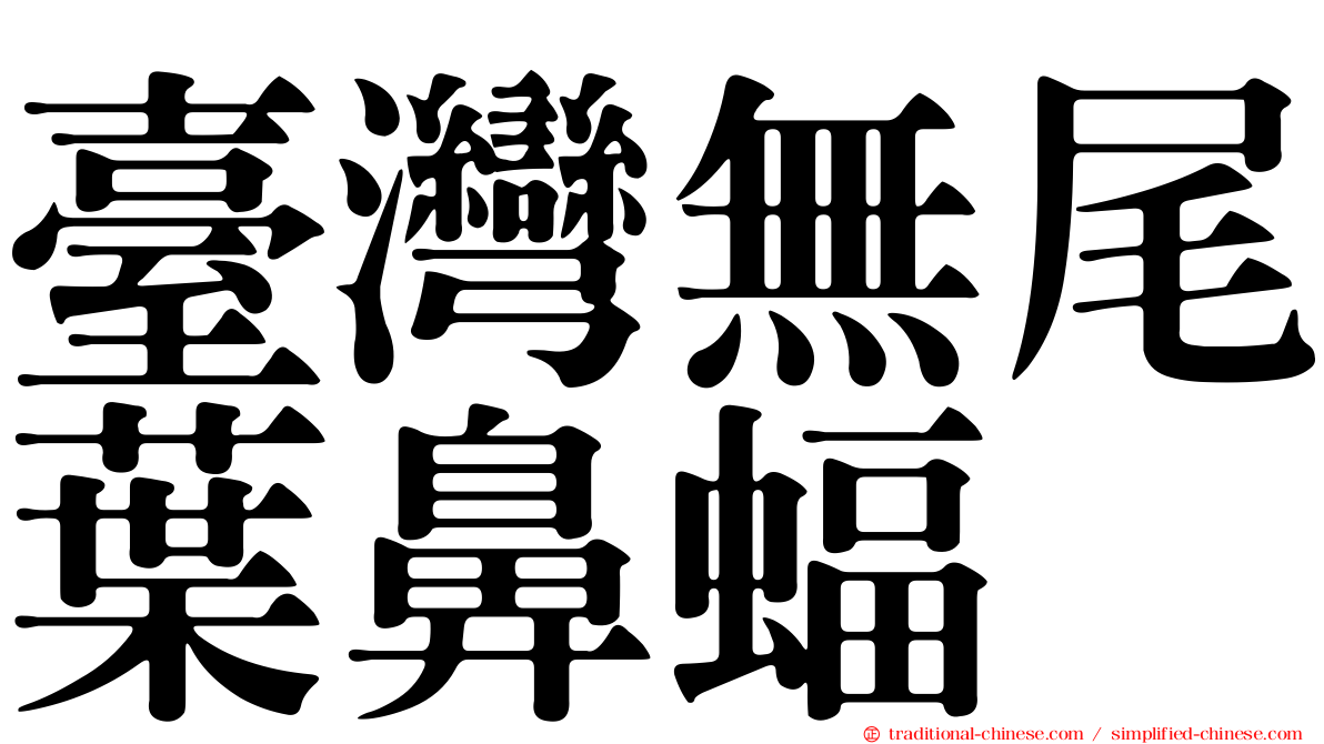 臺灣無尾葉鼻蝠