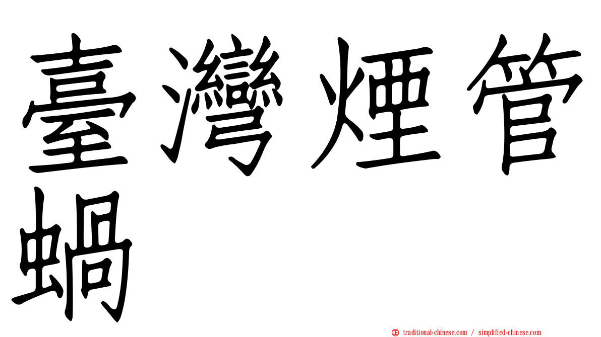 臺灣煙管蝸