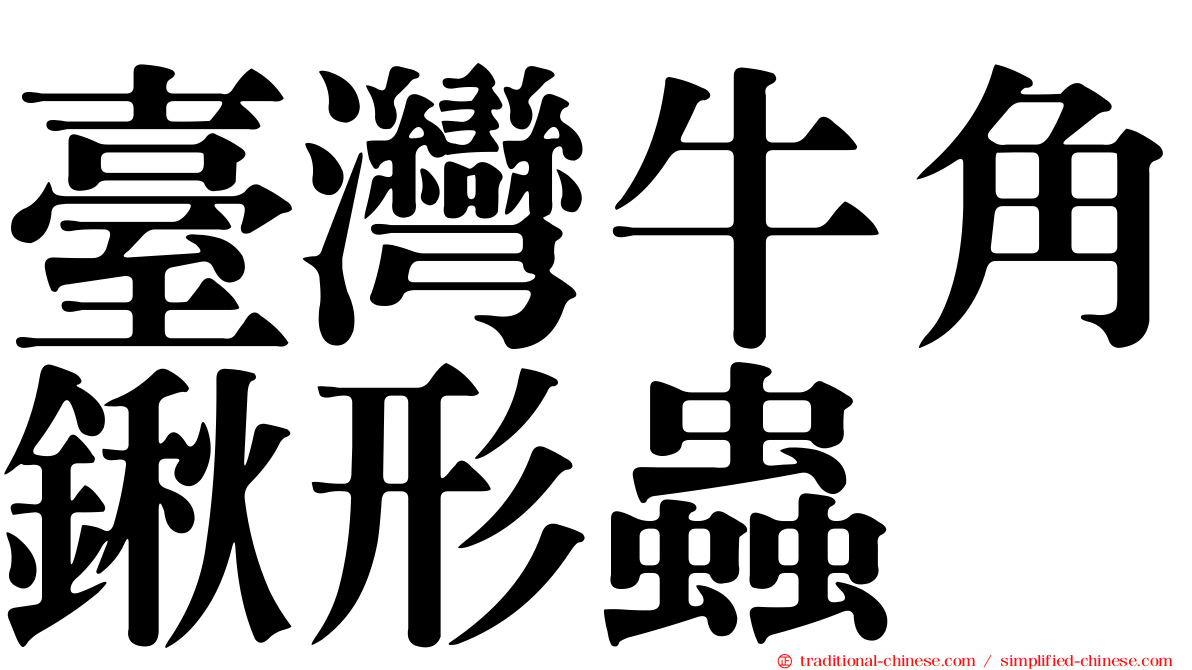 臺灣牛角鍬形蟲